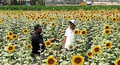 GAP suyuyla birlikte Şanlıurfa'da ürün çeşitliliği zirveye çıktı