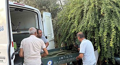 Gazipaşa'da bir kişi evinin merdiveninde ölü bulundu