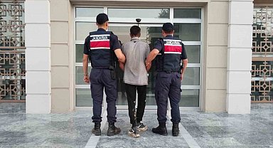 Germencik'te incir hırsızlığına suçüstü
