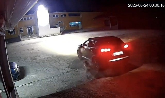 Giresun'da köpeği ezen adam vicdanları yaraladı