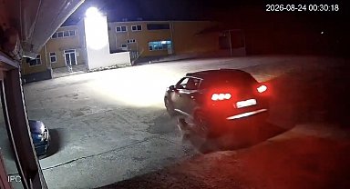 Giresun'da köpeği ezen adam vicdanları yaraladı