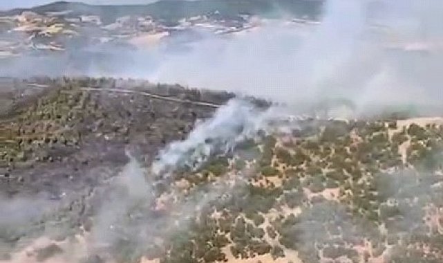 Gördes'teki orman yangını 4 saatte kontrol altına alındı