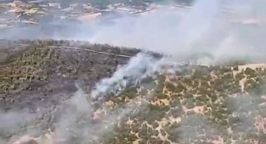Gördes'teki orman yangını 4 saatte kontrol altına alındı