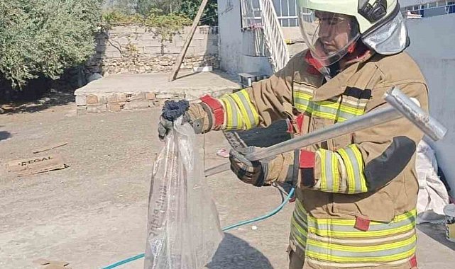 Hatay'da yerleşim alanlarında yakalanan yılanlar doğaya bırakıldı