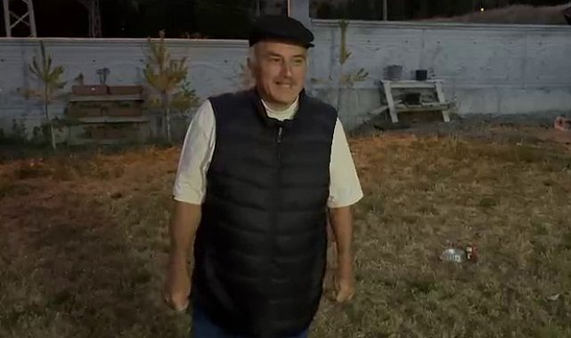 Her akşam gelip kedilerle aynı kaptan mama yiyor