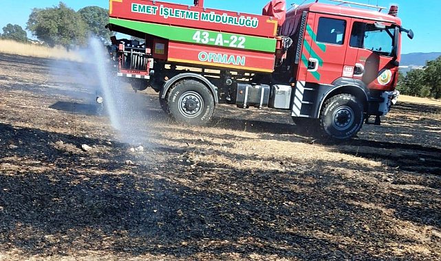 Hisarcık'ta anız yangını 5 dekarlık alana zarar verdi