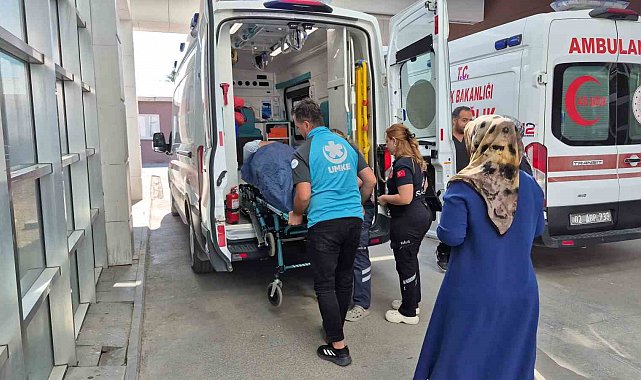 İncir toplarken ağaçtan düşen kişi yaralandı