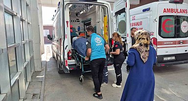 İncir toplarken ağaçtan düşen kişi yaralandı