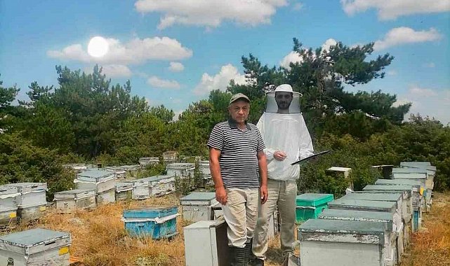 İscehisar'da arılı kovanların tespiti için saha çalışması