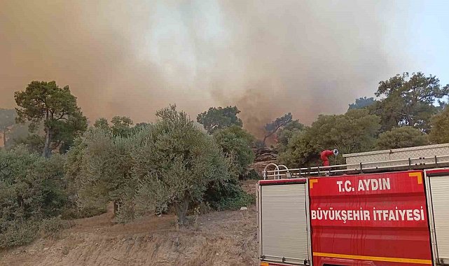 İtfaiye erleri alevlerin arasında kalan kaplumbağayı böyle kurtardı