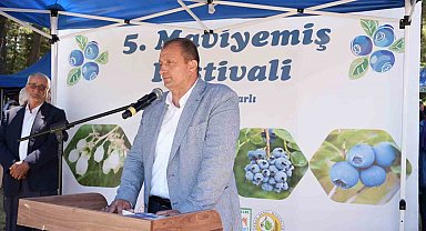 İznik'te 5. Maviyemiş Festivali'ne yoğun ilgi