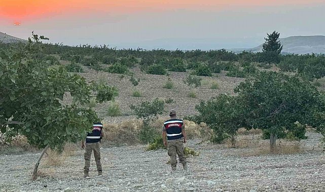 Jandarmadan fıstık nöbeti