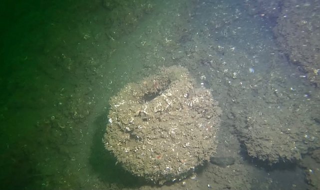 Japon mimar Yoshinori Moriwaki 17 Ağustos depreminin izlerini su altında inceledi