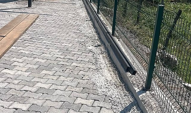 Kabristanlık çevresi düzenlendi