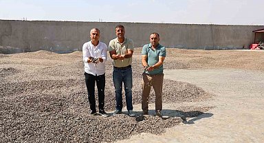 Kahramanmaraş'ta ay çekirdeği hasadı