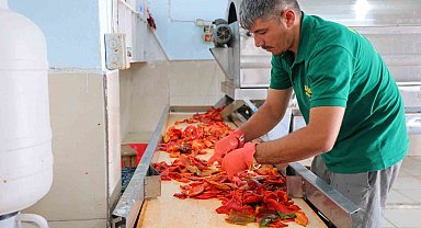 Kahramanmaraş'ta biber salçası mesaisi başladı