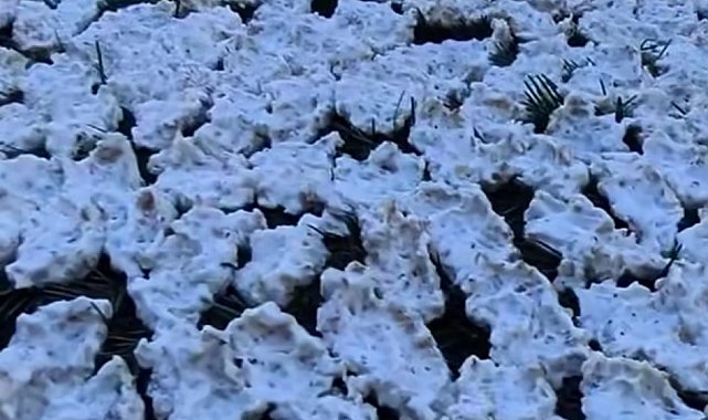 Kahramanmaraş'ta tarhana mesaisi