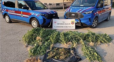 Kahta'da uyuşturucu operasyonu