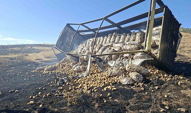 Kamyonda başlayan yangın 100 hektarlık alana zarar verdi