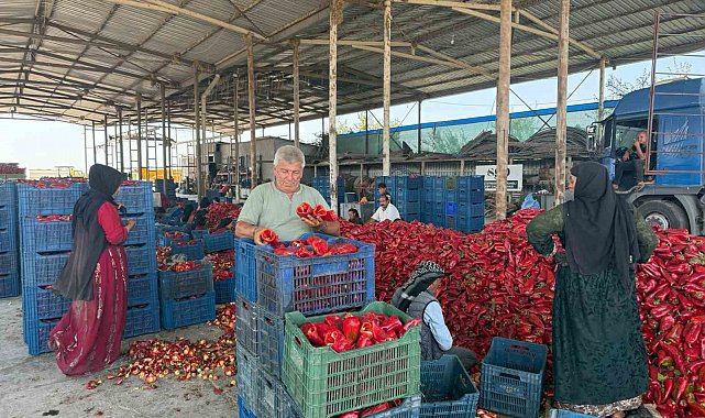 Kapya biberde fabrikaların fiyat düşürmek için ürün alımını geciktirdiği iddiası