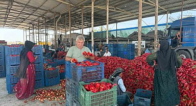 Kapya biberde fabrikaların fiyat düşürmek için ürün alımını geciktirdiği iddiası