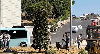 Karabük'te 200 ağaç ve süs bitkisi toprakla buluşuyor