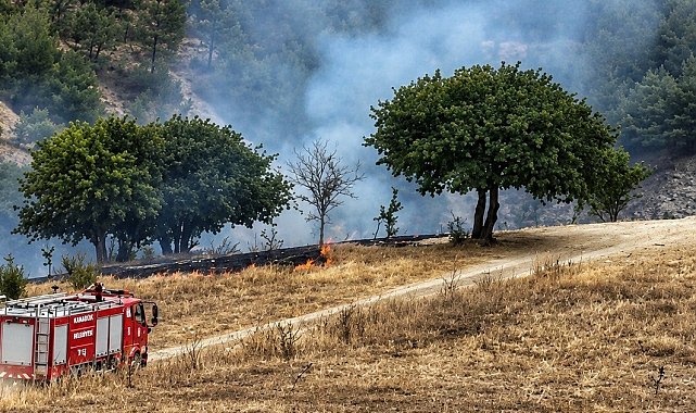 Karabük'te anız yangını ormanlık alana sıçramadan söndürüldü