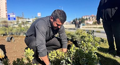 Karabük'te yeşil seferberlik: 58 bin ağaç ve çiçek toprakla buluştu