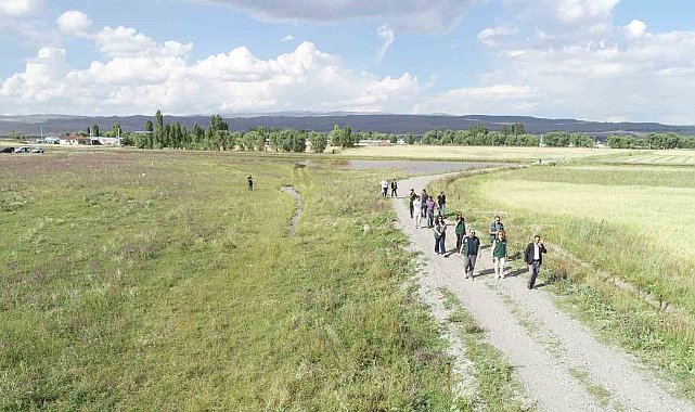 Kars ve Ardahan'da 52 bin hektarlık alanda arazi toplulaştırma incelemesi