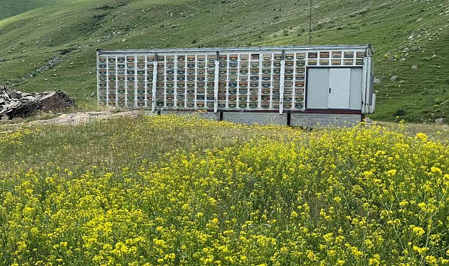 Kars'ta arıcılıkta devrim: Türkiye'nin en büyük mobil arı üretim üssü hizmete girdi