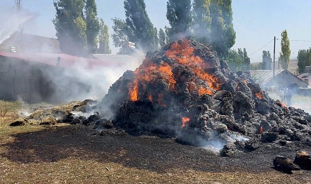 Kars'ta bin ot balyası kül oldu