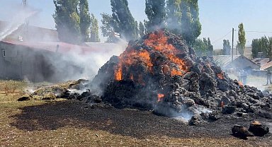 Kars'ta bin ot balyası kül oldu