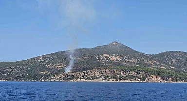 Kaş'ta makilik alanda çıkan yangın söndürüldü