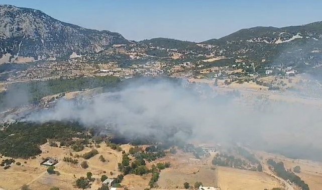 Kaş'ta ormanlık alanda yangın