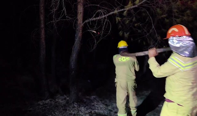Kaş'taki orman yangını büyük ölçüde kontrol altında