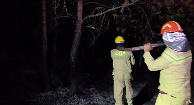 Kaş'taki orman yangını büyük ölçüde kontrol altında