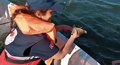 Kastamonu'da barajda 2 bin metre ağ ele geçirildi, 108 balık tekrar suyla buluşturuldu