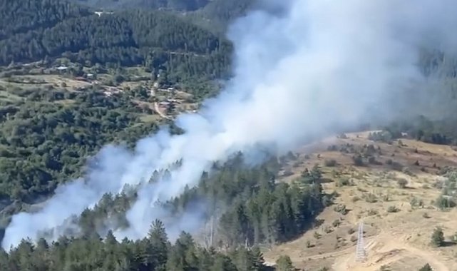 Kastamonu'da çıkan orman yangını ekiplerin hızlı müdahalesiyle söndürüldü