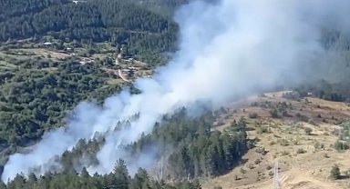 Kastamonu'da çıkan orman yangını ekiplerin hızlı müdahalesiyle söndürüldü