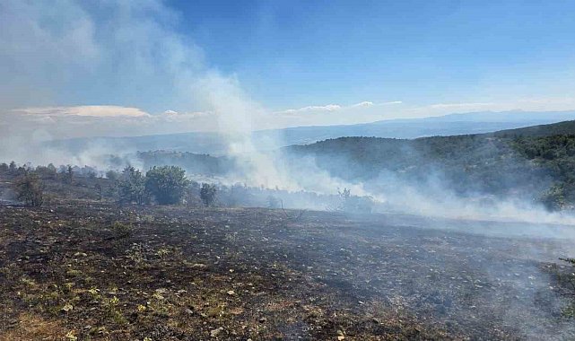 Kastamonu'da çıkan orman yangını kontrol altına alındı