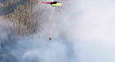 Kastamonu'da çıkan orman yangını kontrol altına alındı