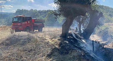 Kastamonu'da çıkan örtü yangını söndürüldü