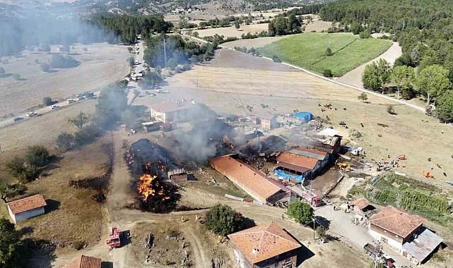 Kastamonu'da çıkan samanlık yangını ahırlara sıçradı: İlk belirlemelere göre 14 büyükbaş hayvan telef oldu