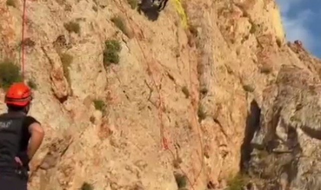 Kayalıklarda mahsur kalan keçiler 4 gün sonra kurtarıldı