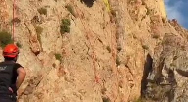 Kayalıklarda mahsur kalan keçiler 4 gün sonra kurtarıldı