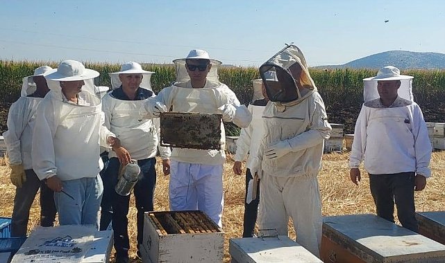 Kaymakam Özcan bal hasadına katıldı