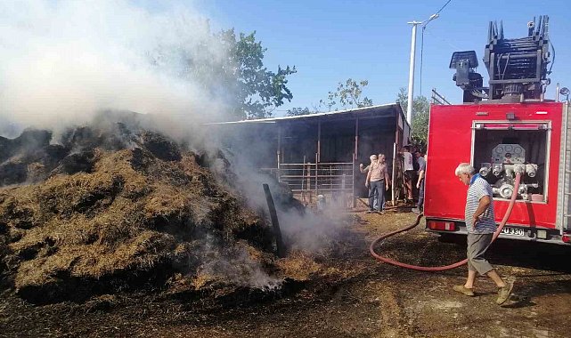 Keşan'da 1,5 saat içerisinde çıkan 5 yangın söndürüldü