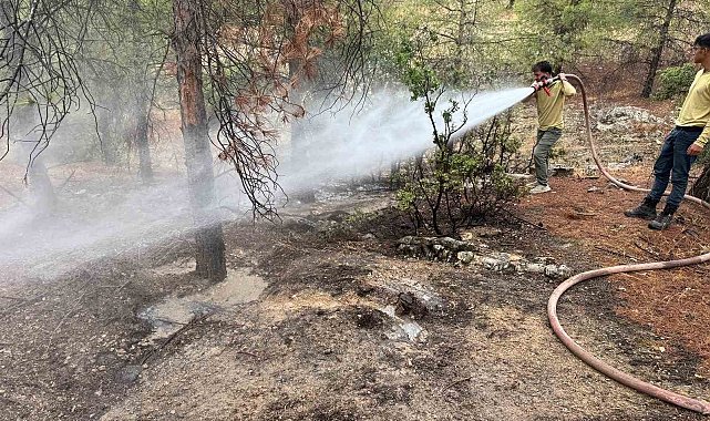 Kilis'te yıldırımın düşmesiyle ormanlık alanda yangın çıktı