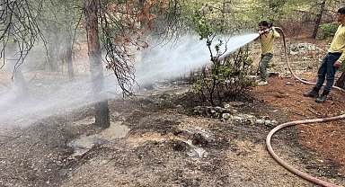Kilis'te yıldırımın düşmesiyle ormanlık alanda yangın çıktı