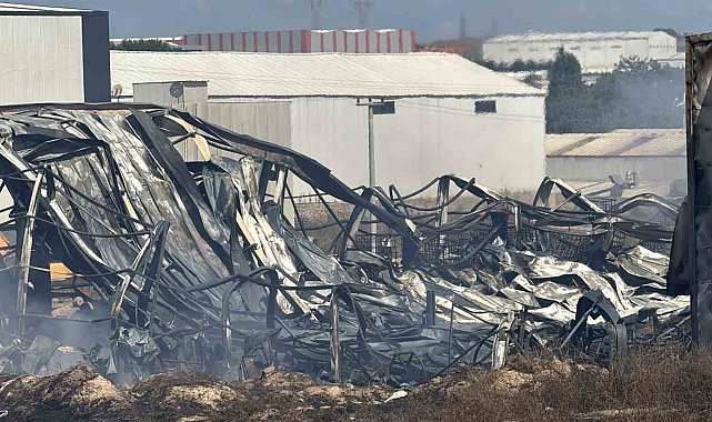 Kocaeli'de kimya fabrikasında yangın: 2 işçi yaralandı, 2 at telef oldu